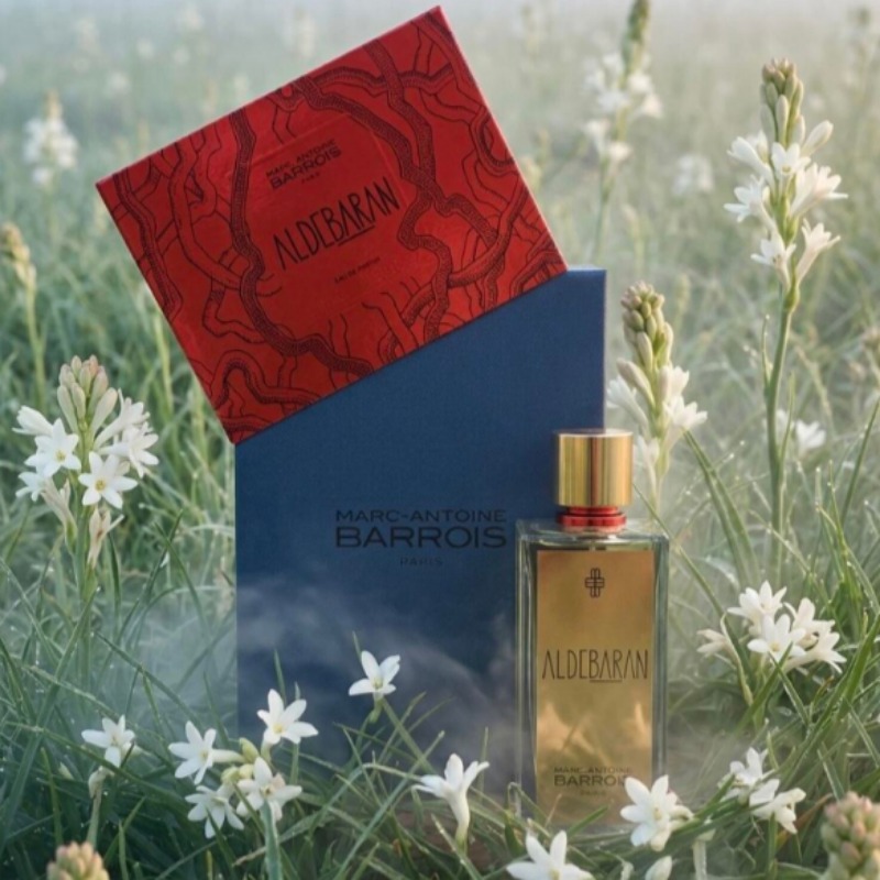 Perfume Fragrance Intense - Unisex Spicy Woody Perfume Warm Intense